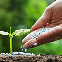 Fertilizers